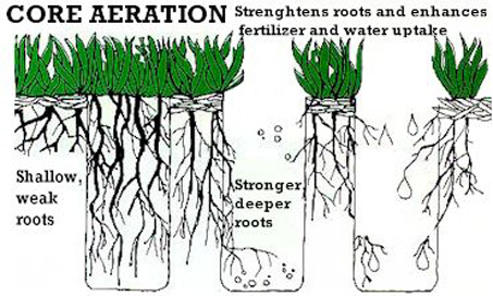 aeration4